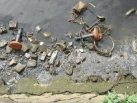 堀川　捨てられたゴミ