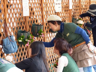 horikawa flower